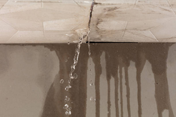 Professional Structural Drying technician working in Albion, IN